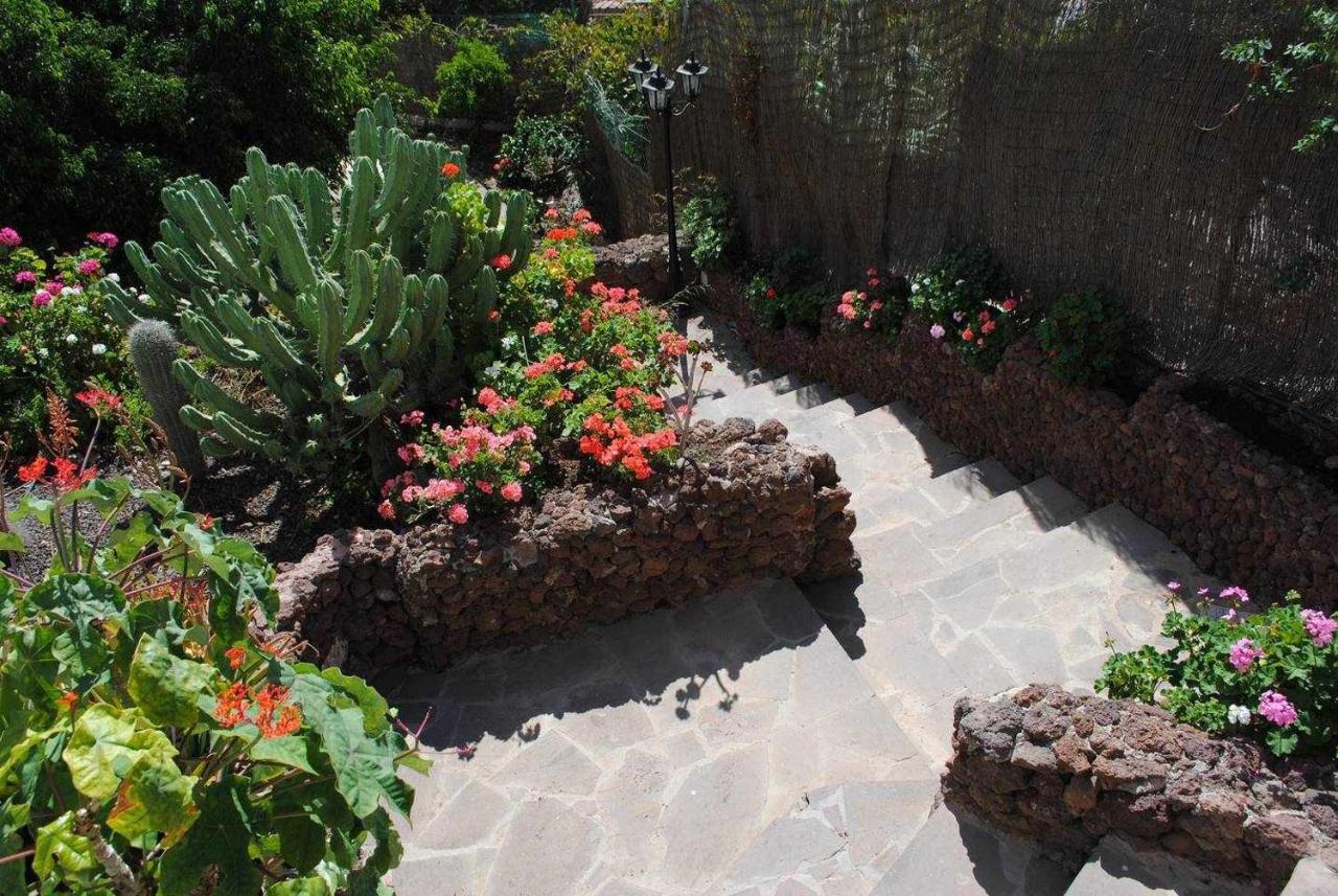 Casa Rural El Olivar La Almazara Santa Lucia De Tirajana Екстер'єр фото