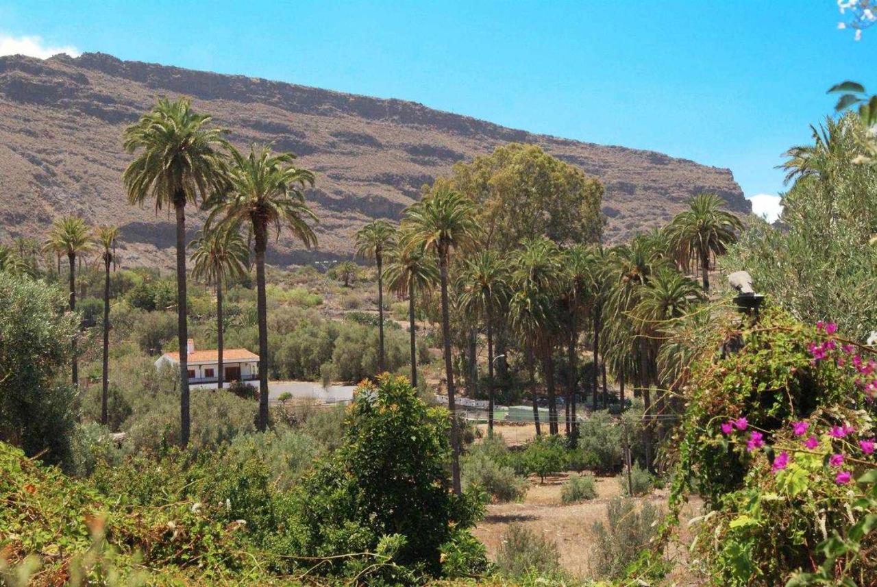 Casa Rural El Olivar La Almazara Santa Lucia De Tirajana Екстер'єр фото