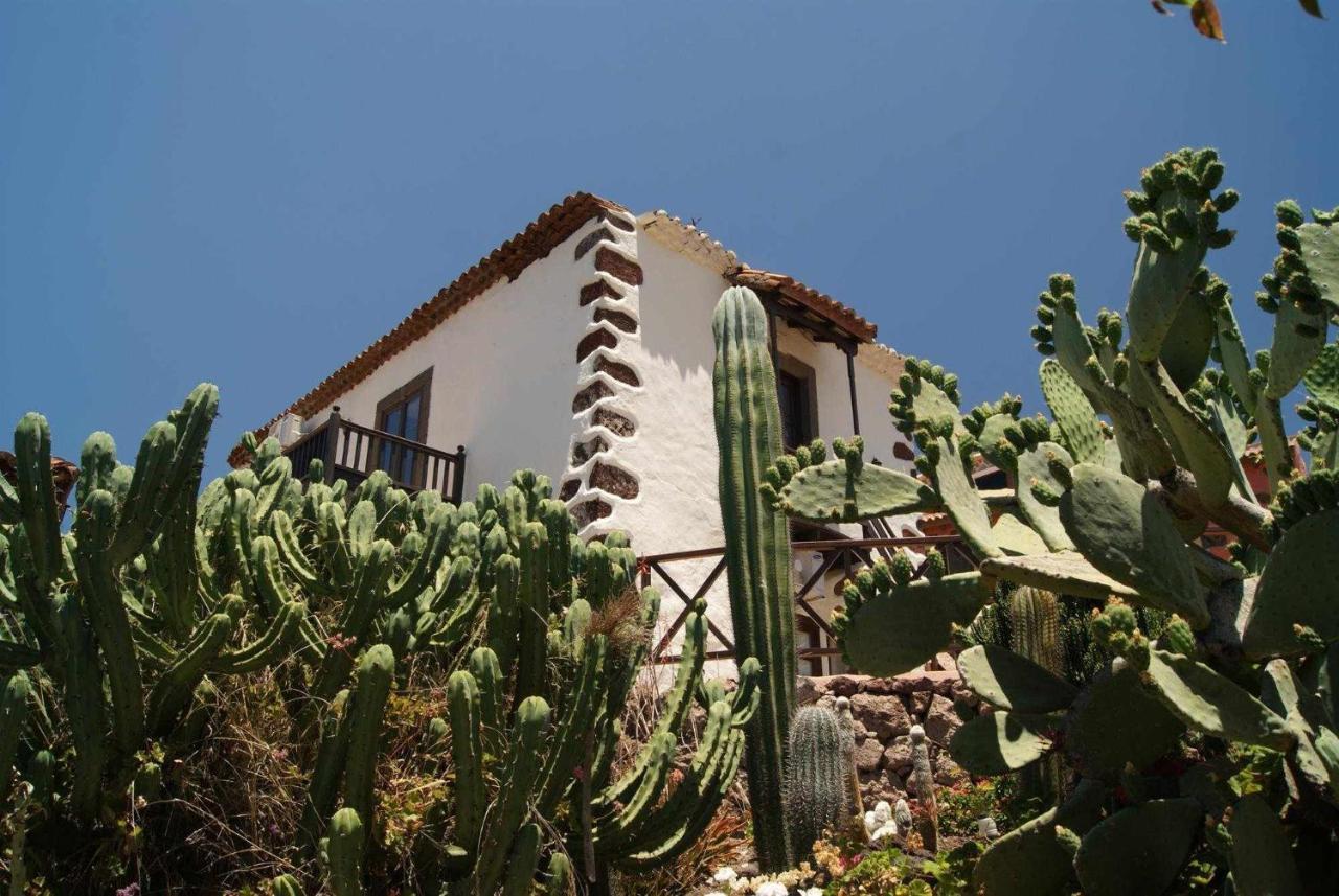 Casa Rural El Olivar La Almazara Santa Lucia De Tirajana Екстер'єр фото
